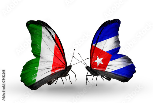 Photography Two butterflies with flags Italy and Cuba