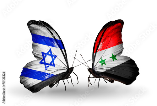 Two butterflies with flags Israel and Syria