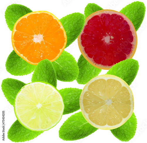 Citrus fruits and mint isolated