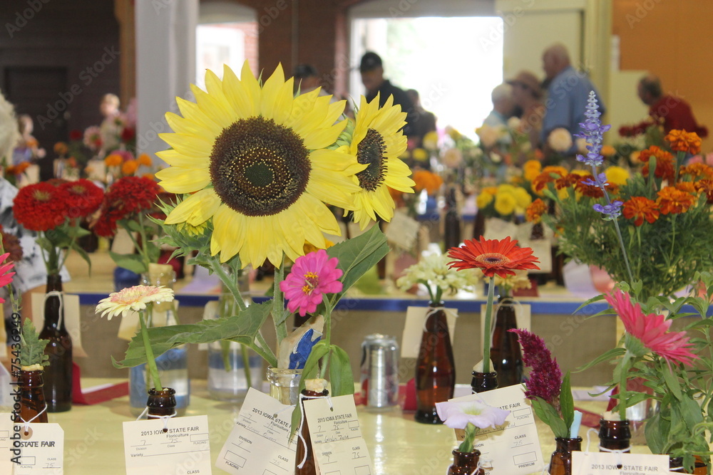 Fototapeta premium Flower contest