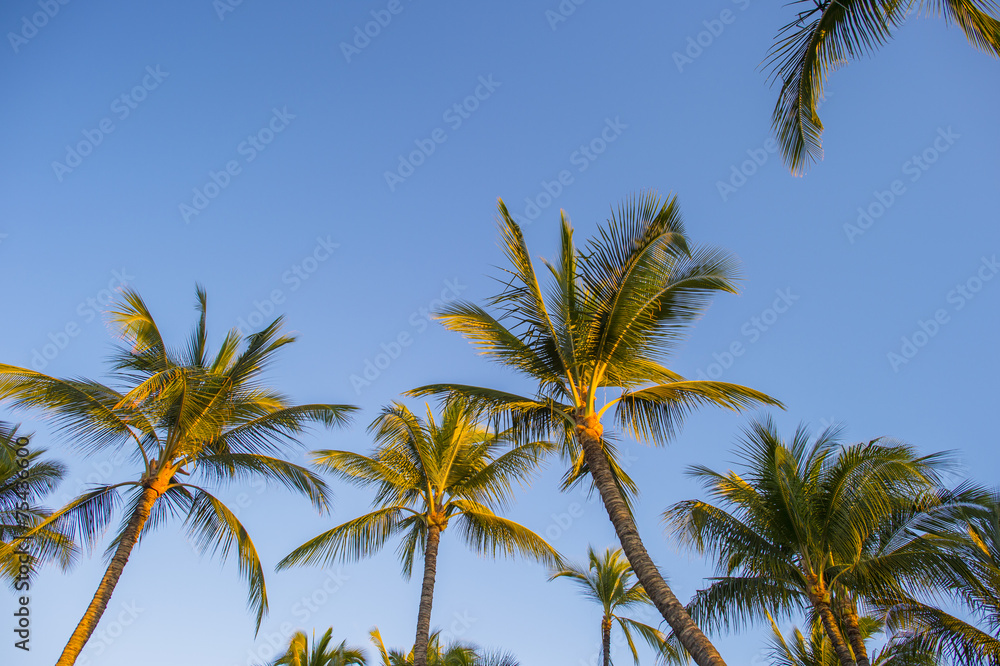 hawaian beach at sunset time