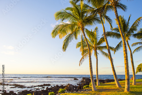 hawaian beach at sunset time photo