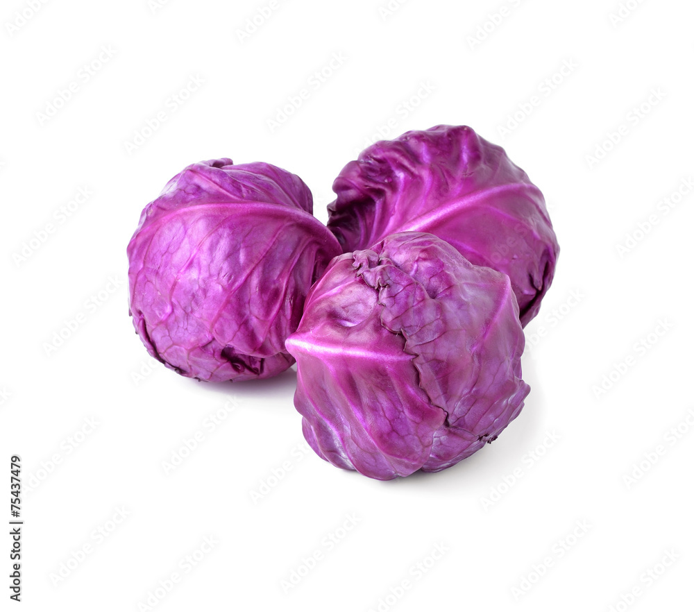 red cabbage on white background red cabbage on white background