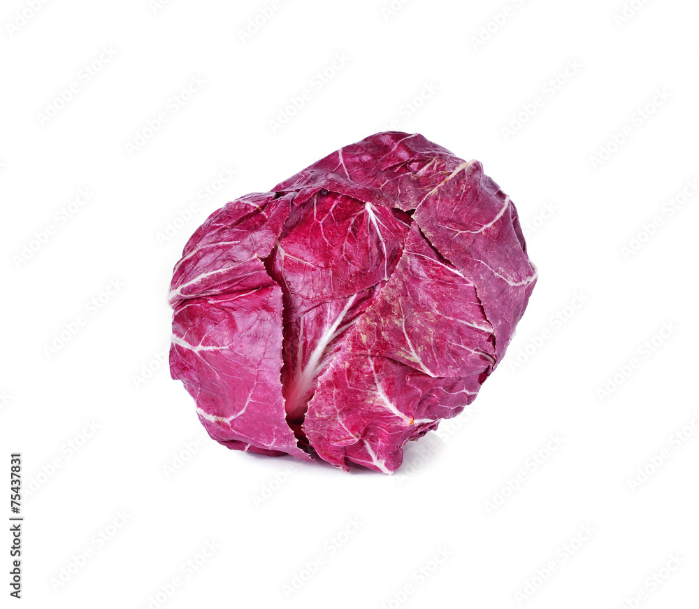 red cabbage on white background red cabbage on white background