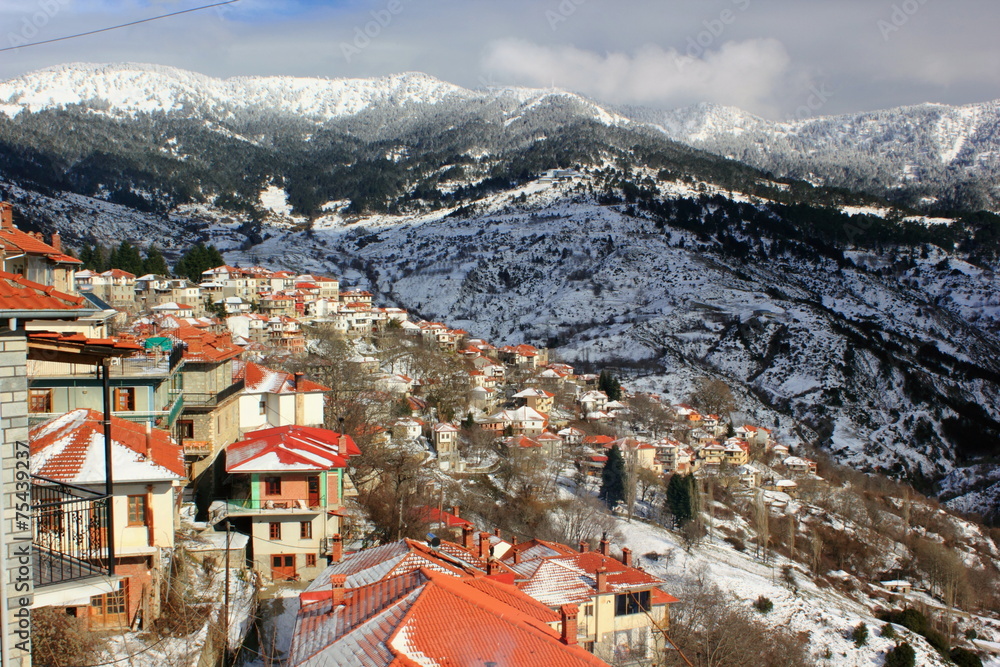 metsovo Mountainside alp Village with snow and trees in greece