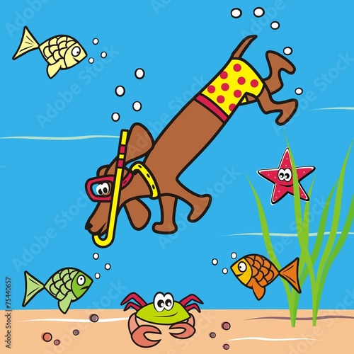 Dog and snorkel