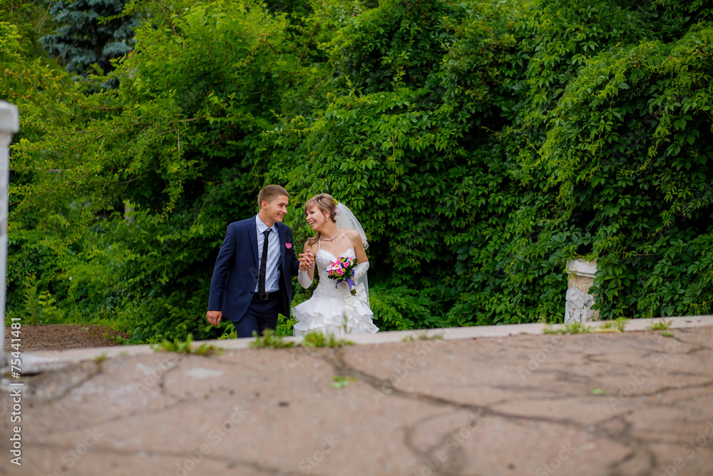 Fototapeta premium the bride and groom walk in the park