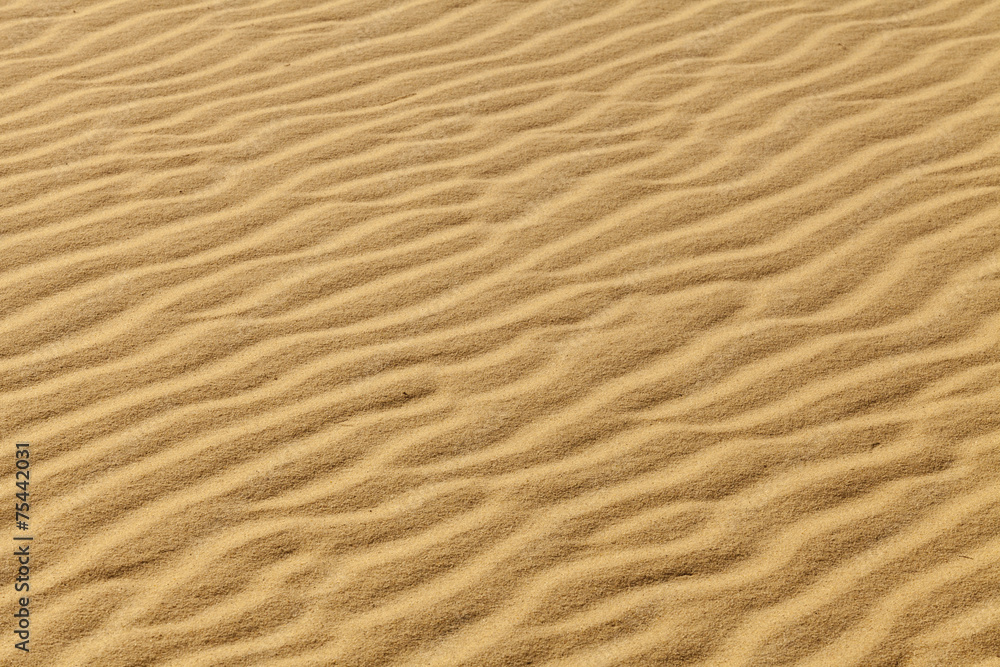 Sand Waves Sand Waves