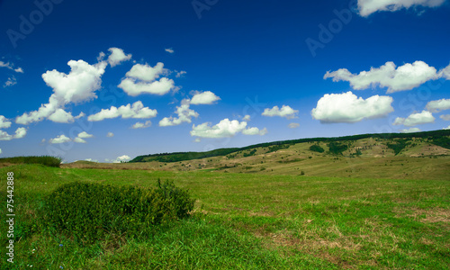 Green field and blue sky with light clouds © Lucian Bolca