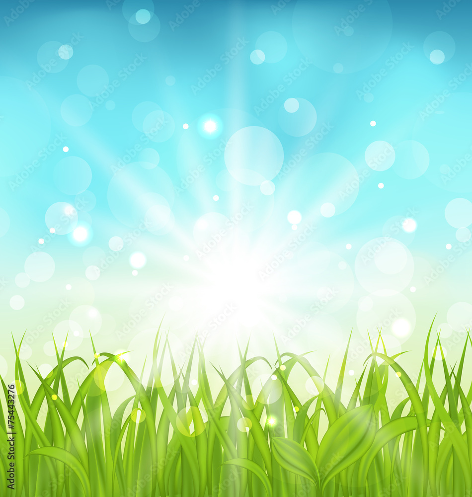 Spring nature background with grass