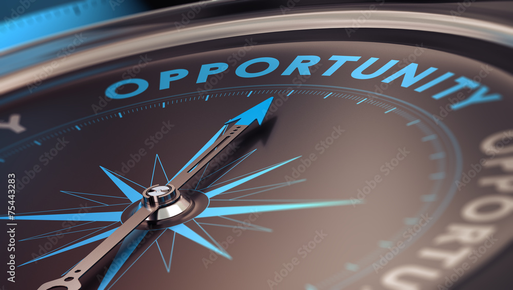 Business Opportunity Business Opportunity