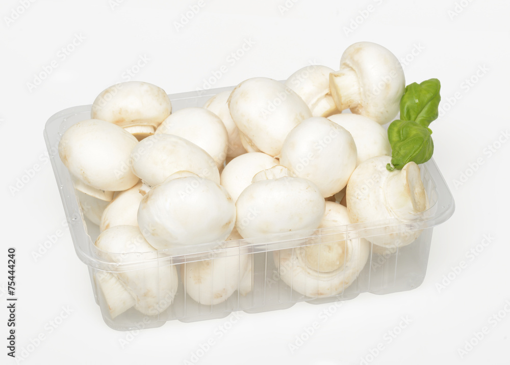 Champignons, Pilze, Schale Champignons, Pilze, Schale