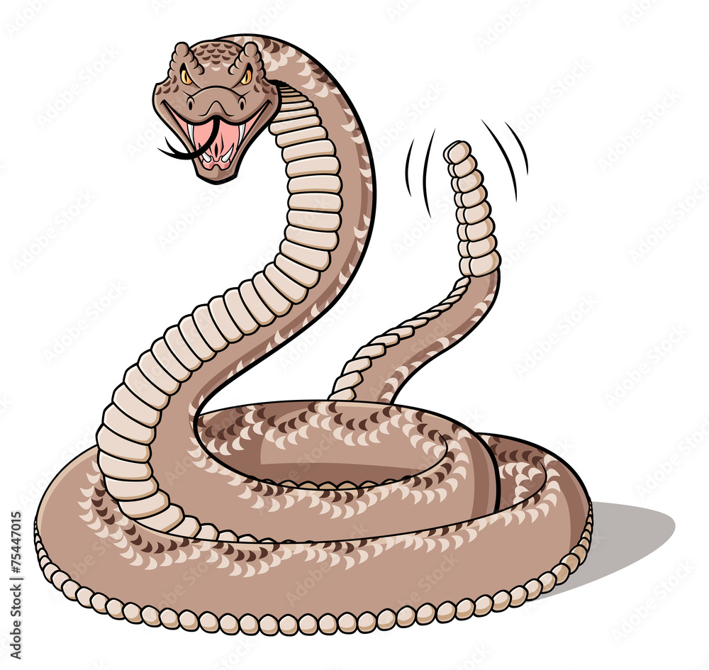 Obraz premium Rattlesnake