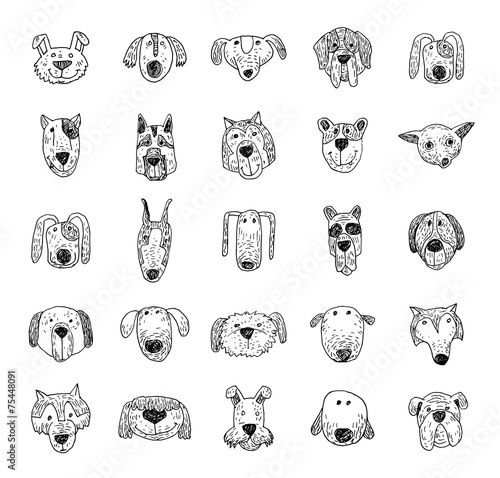 Breed dog collection icon, vector.