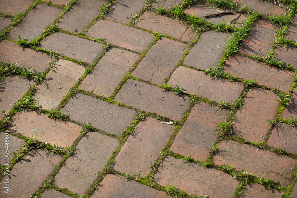 Stone paving overgrown grass