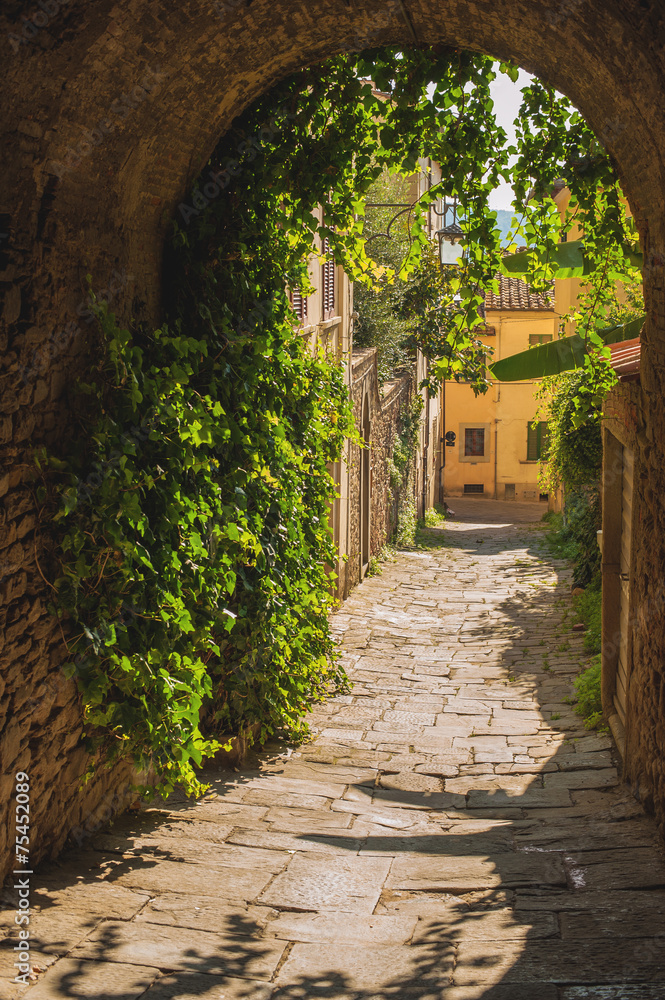 Old streets of greenery a medieval Tuscan town.