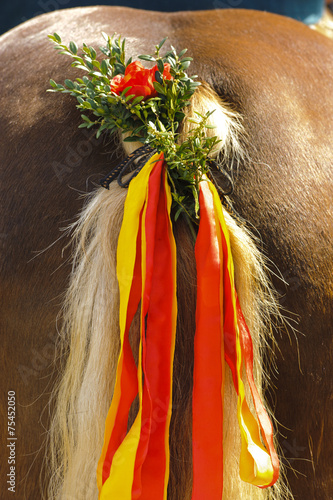 Pferd mit Schmuck am Schweif in Bayern photo