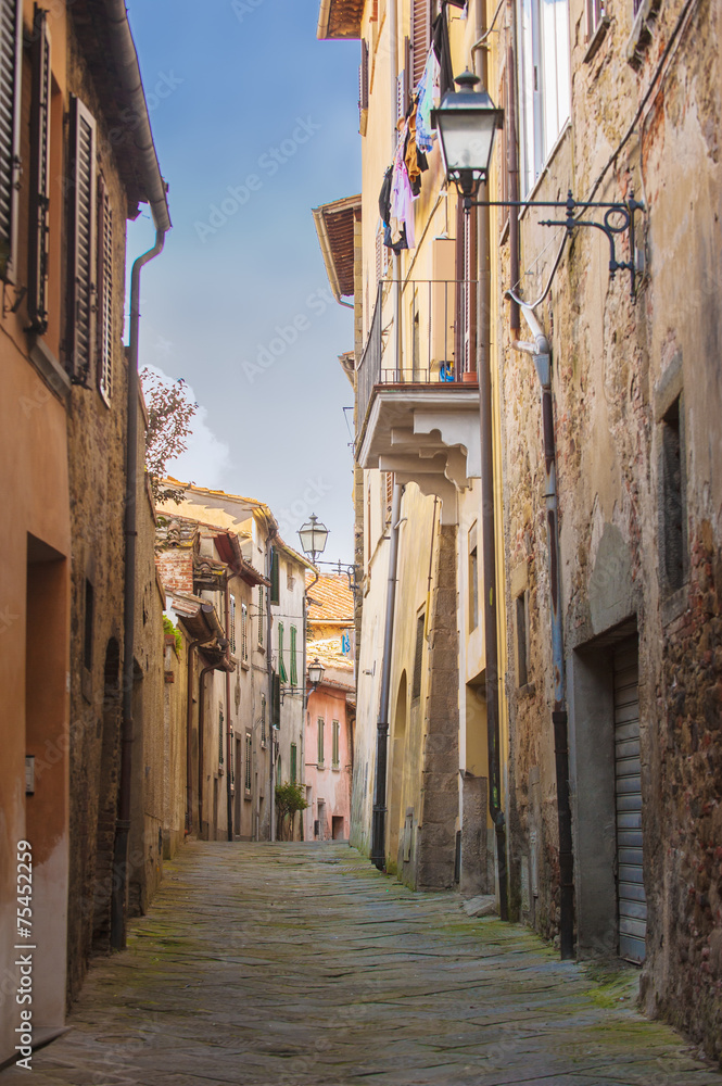 Fototapeta premium Old streets of greenery a medieval Tuscan town.