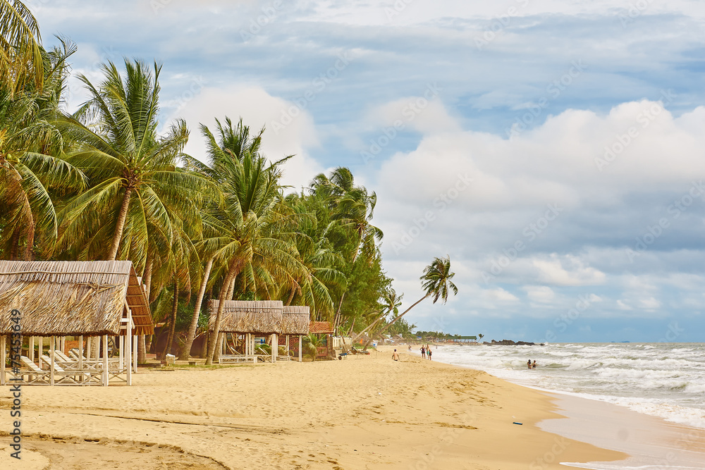 Fototapeta premium beach