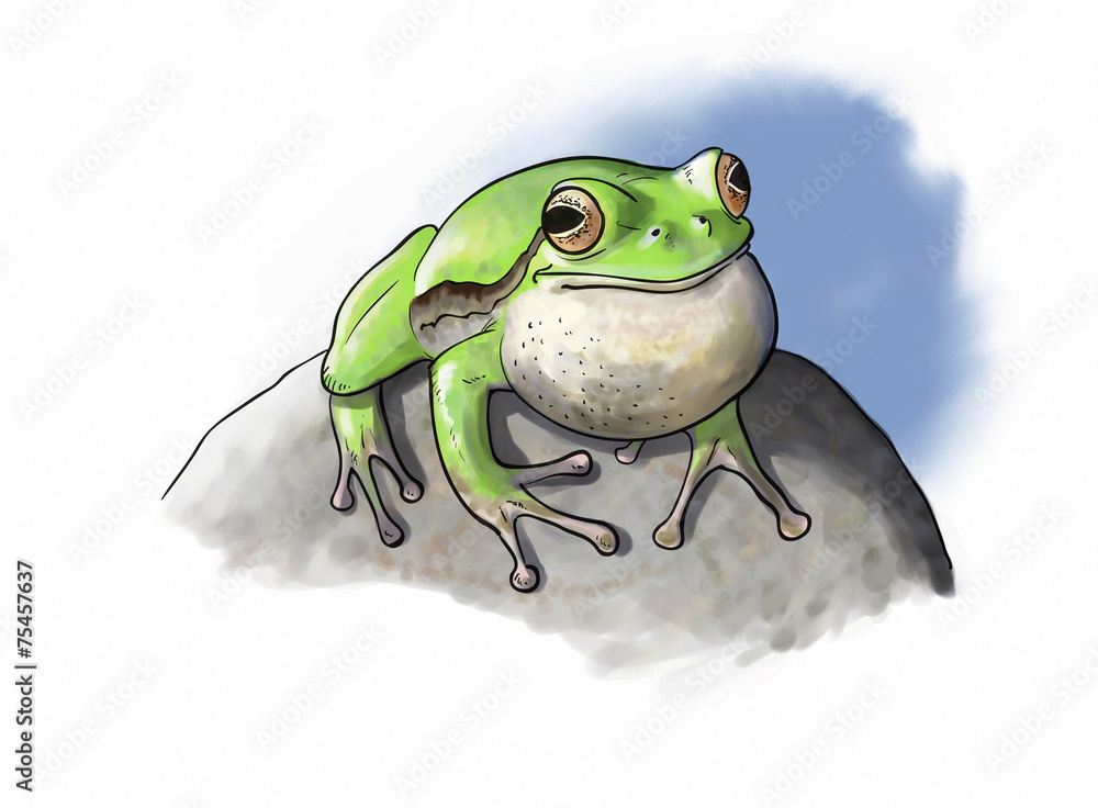 Obraz premium Tree Frog vocal pouche