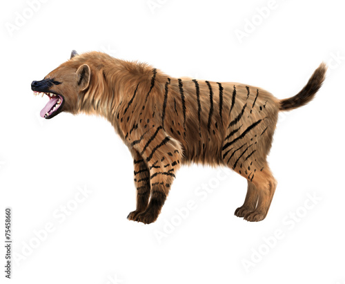 Fotografia Prehistoric hyena illustration