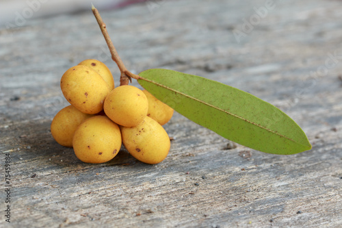 Rauwenhoffia siamensis Scheff fruit  on wood photo