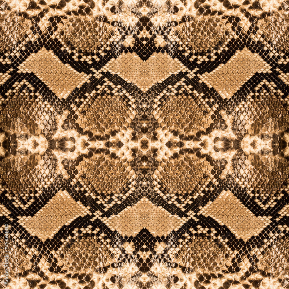 snake skin background snake skin background
