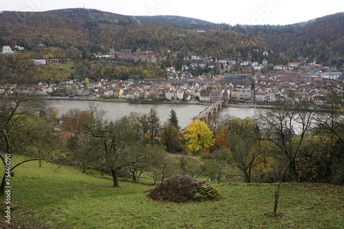 Heidelberg old bridge photo