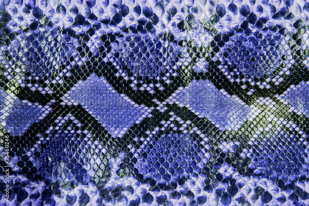 Snake skin pattern background Snake skin pattern background