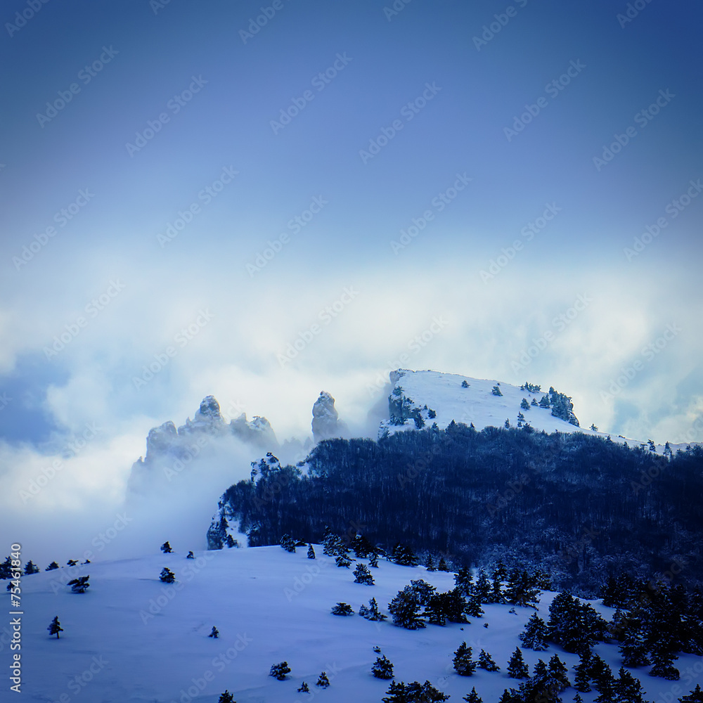 Fototapeta premium landscape