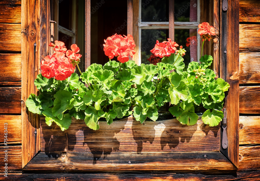 Fototapeta premium old window