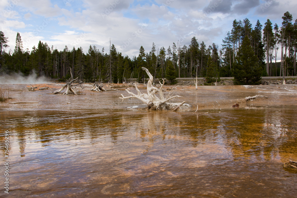 Fototapeta premium Yellowstone Nationalpark, Utah, USA