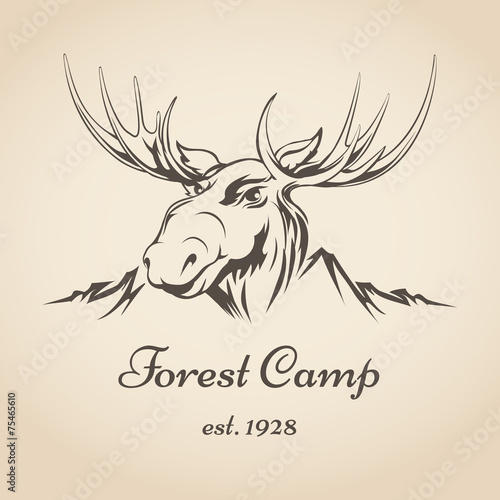 Forest camp logo