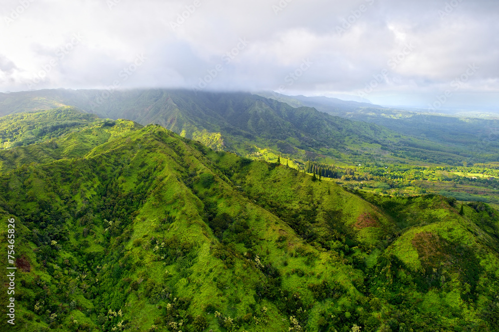 Fototapeta premium Stunning aerial view of spectacular jungles, Kauai
