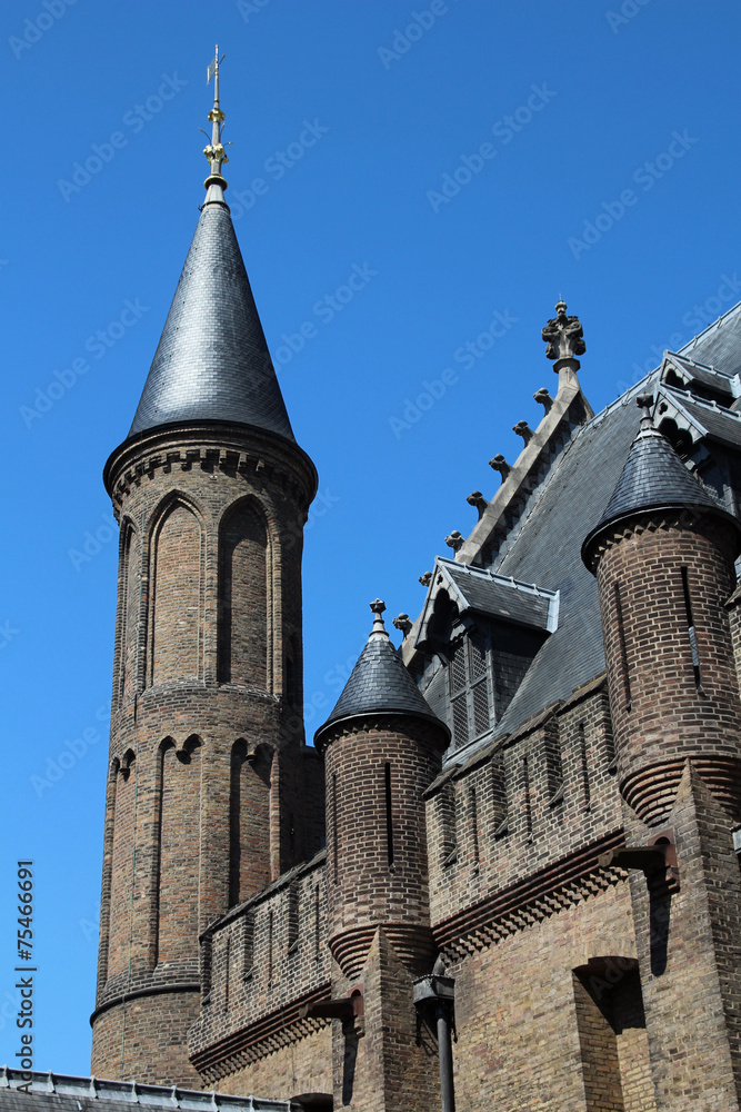 Obraz premium The Ridderzaal, The Hague, Netherlands
