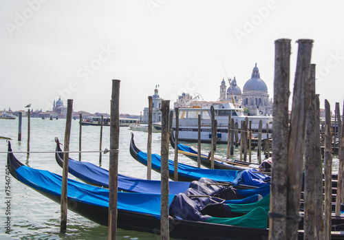 parking gondolas on the Grand Canal in Venice © alfaori
