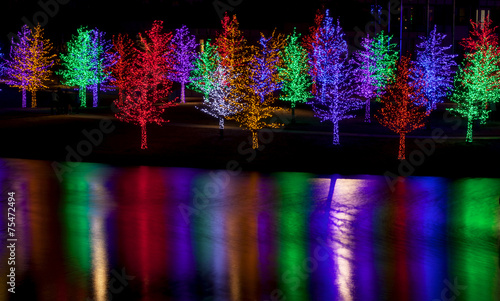 Trees tightly wrapped in LED lights for the Christmas holidays r