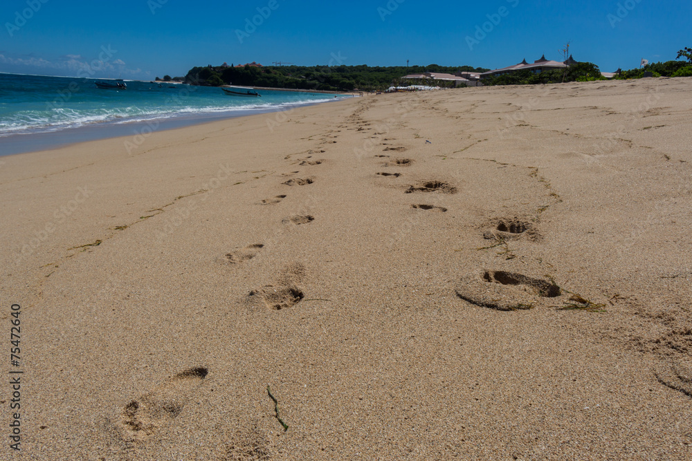 Beautiful tropical beach with lush vegetation Beautiful tropical beach with lush vegetation