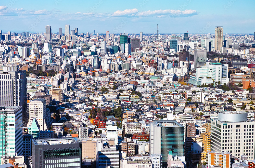 Fototapeta premium 東京の広尾の高級住宅街エリア