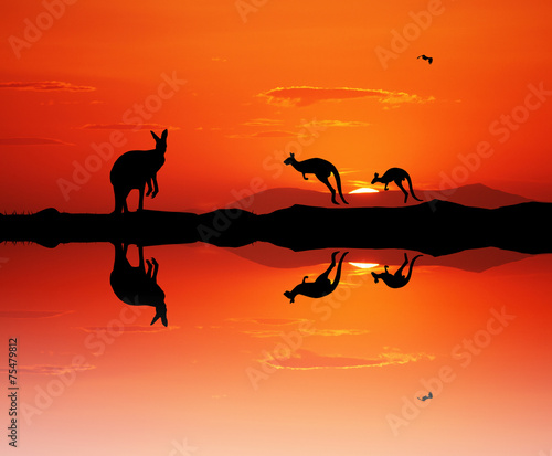 Kangaroos silhouette at sunset © adrenalinapura