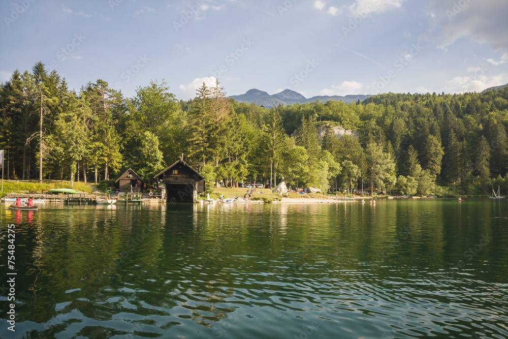 Fototapeta premium Mountain Lake bohinj in Julian Alps, Slovenia