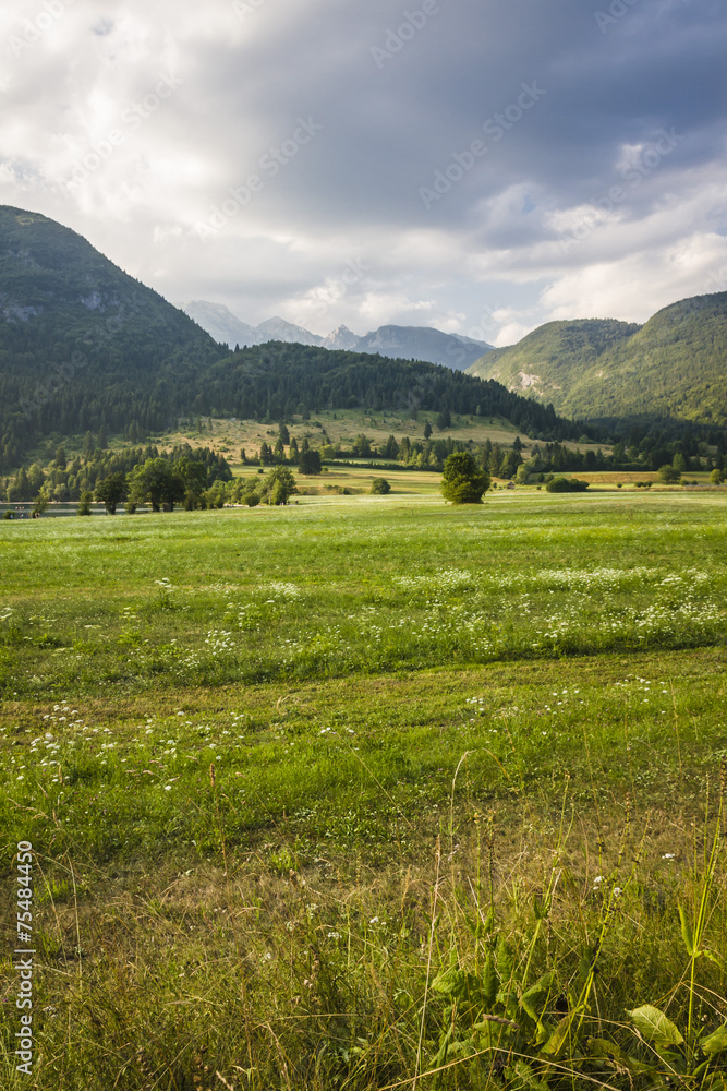Slovenian Landscape