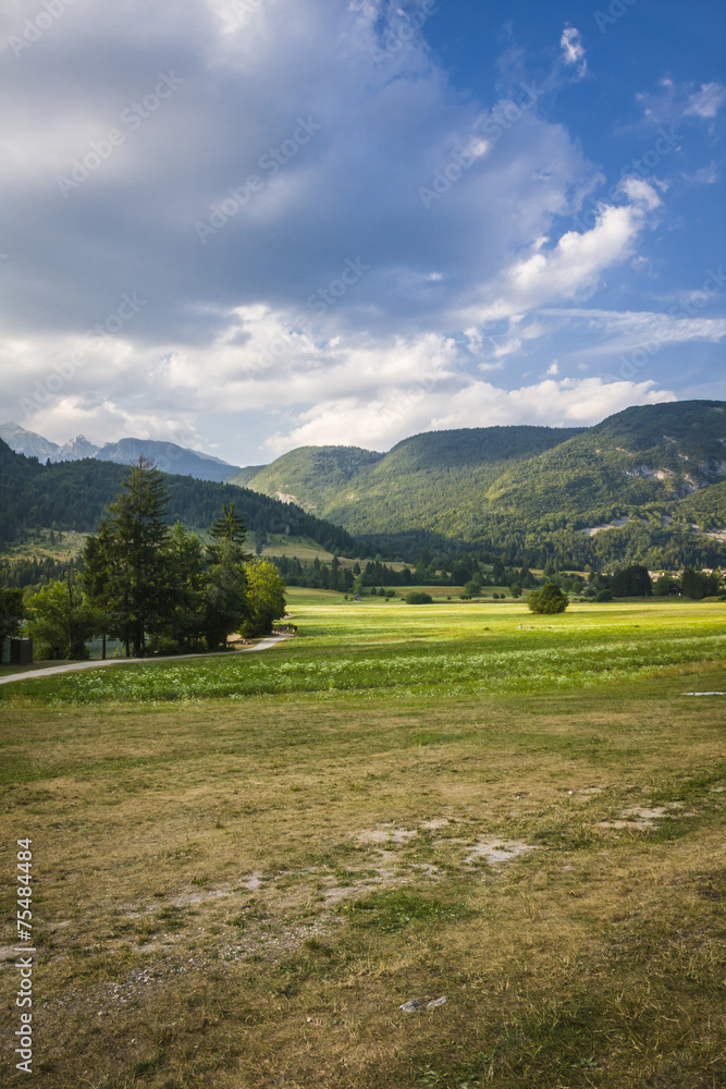 Slovenian Landscape