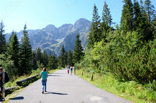 Muntain road (Tatras)
