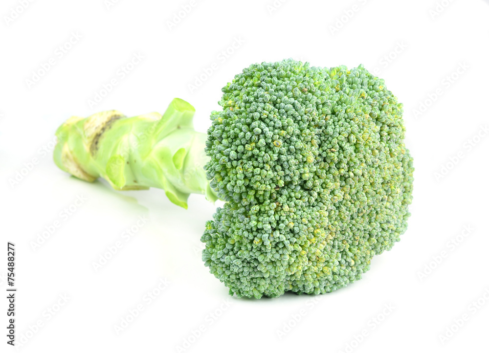 fresh green broccoli isolated on white background fresh green broccoli isolated on white background