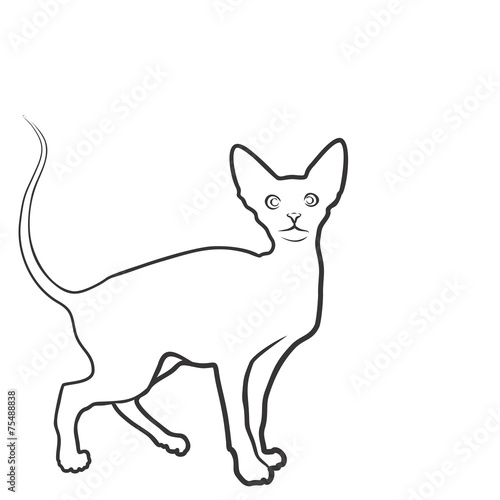 Кошка