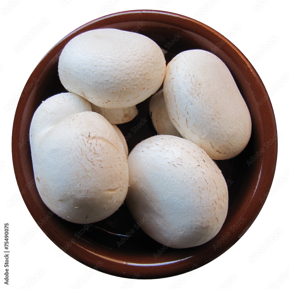 Champiñones, ingredientes de cocina. Champiñones, ingredientes de cocina.