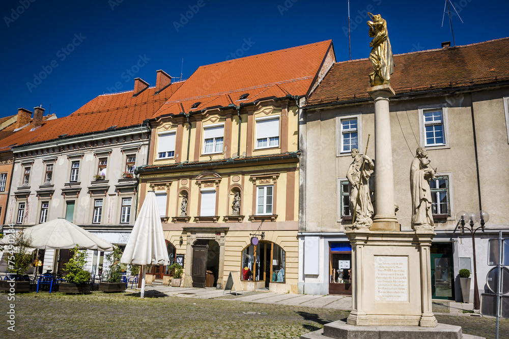 Obraz premium Celje town