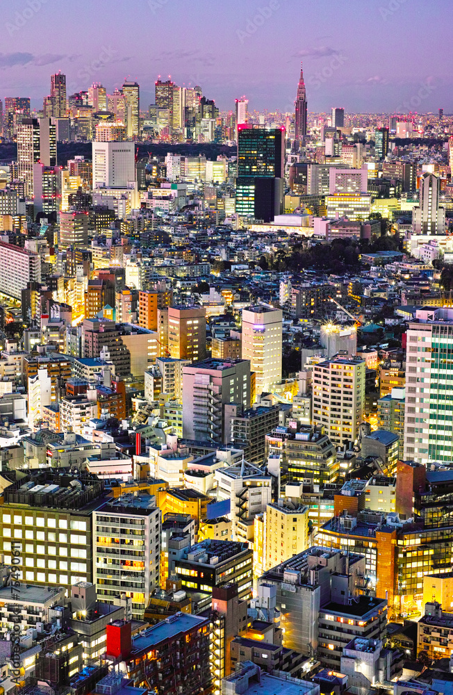 Fototapeta premium 東京の新宿副都心の夕景
