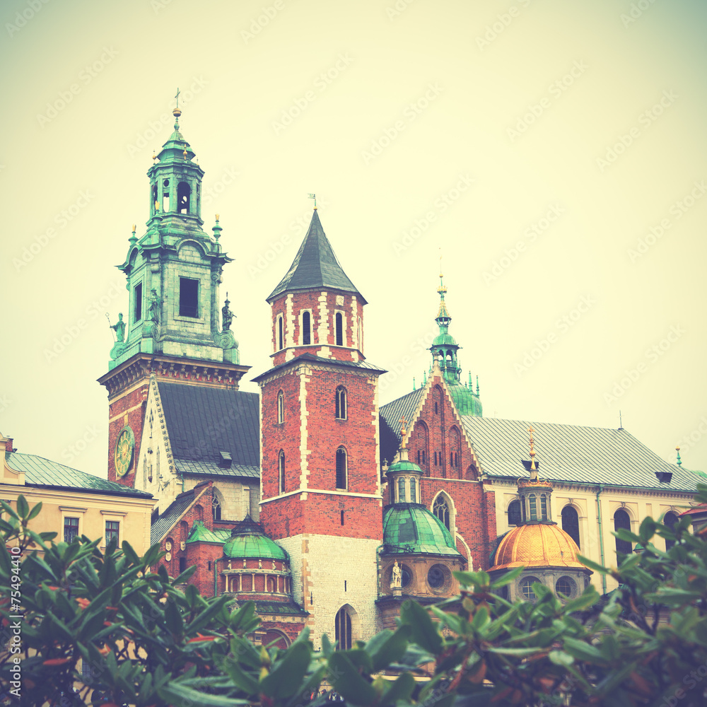 Fototapeta premium Wawel Castle in Krakow